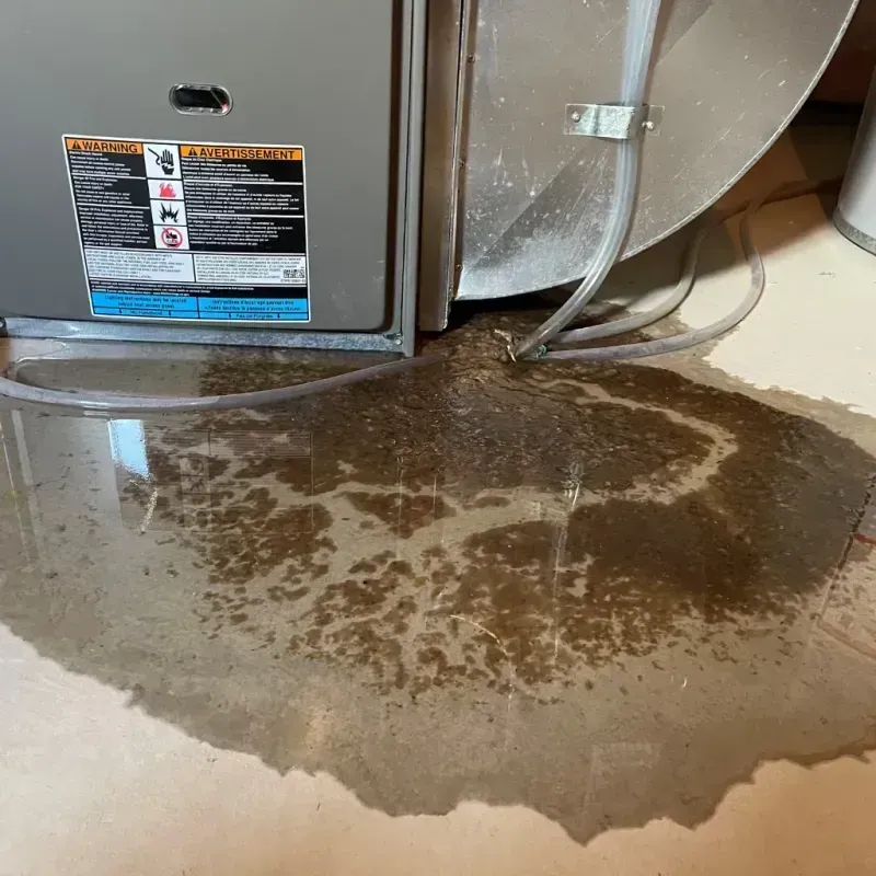 Appliance Leak Cleanup in Big Bass Lake, PA